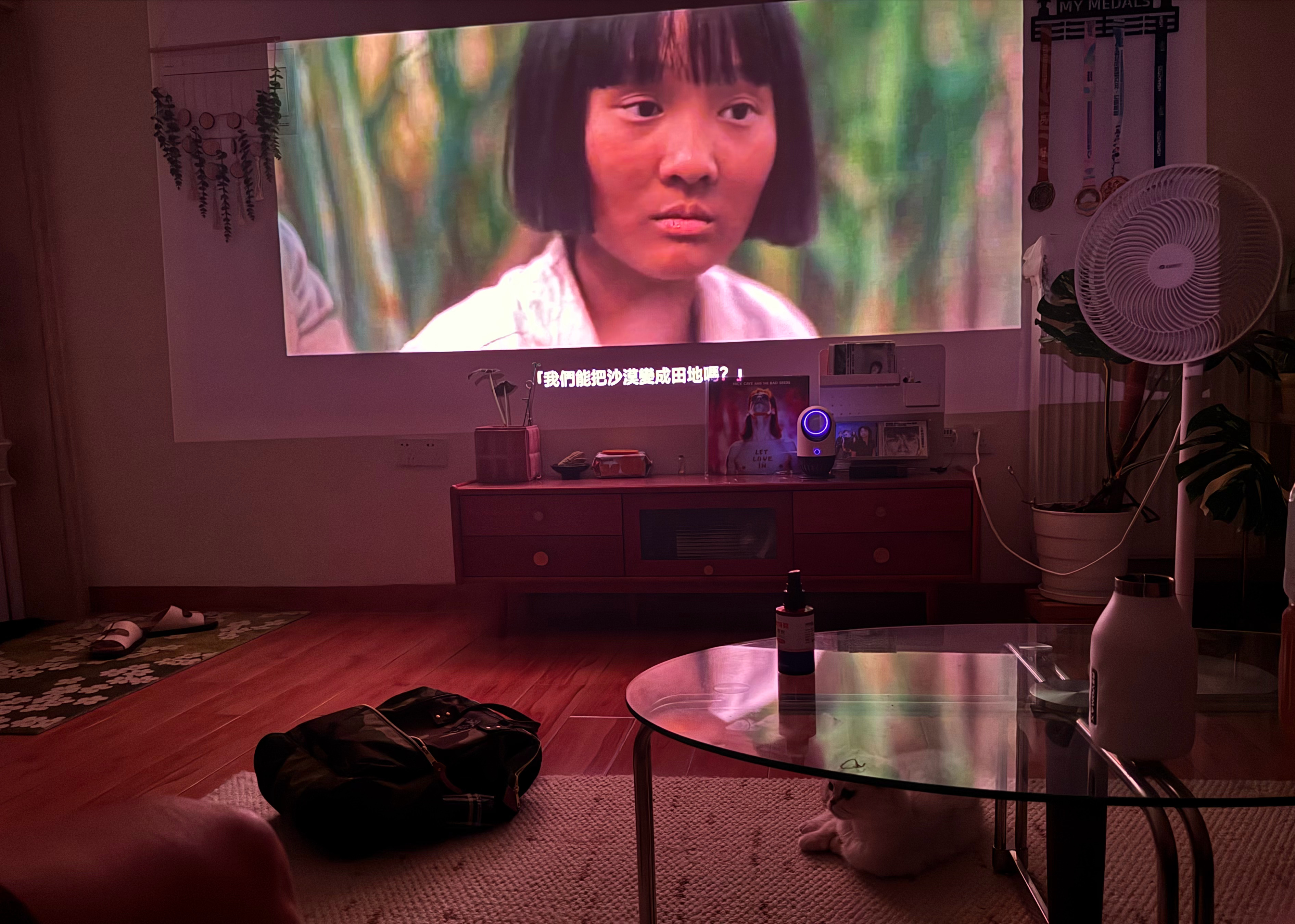 首个家庭电影日圆满举办，全员满勤（包括咪），观看陈玉勋导演的《大濛》。很好，可看