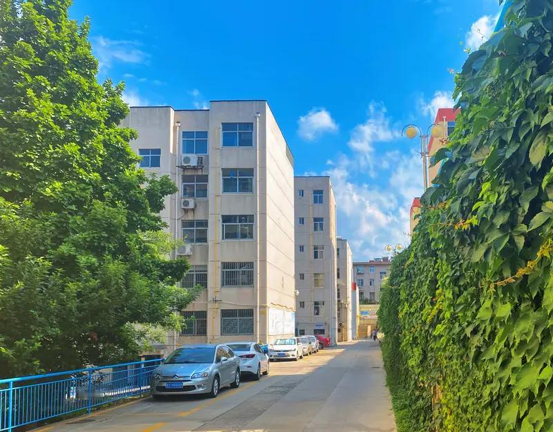 泪目！25岁女教师校内宿舍病亡，两天后才被发现，校方回应让人心寒
 
2026开