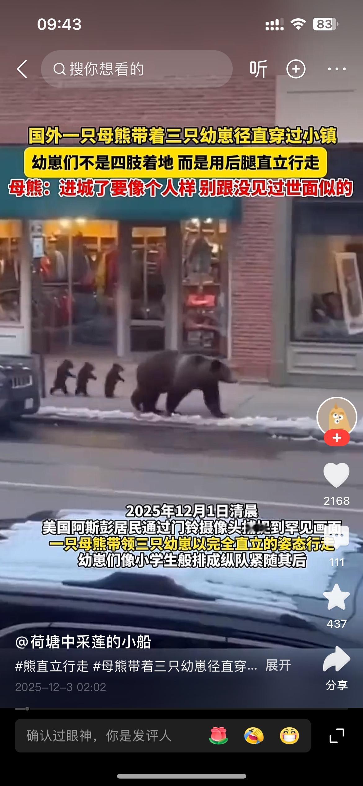 这三只小熊是要“成精”了，竟然站直起来，直立行走了，这猛眼一看，真像三个人在后面