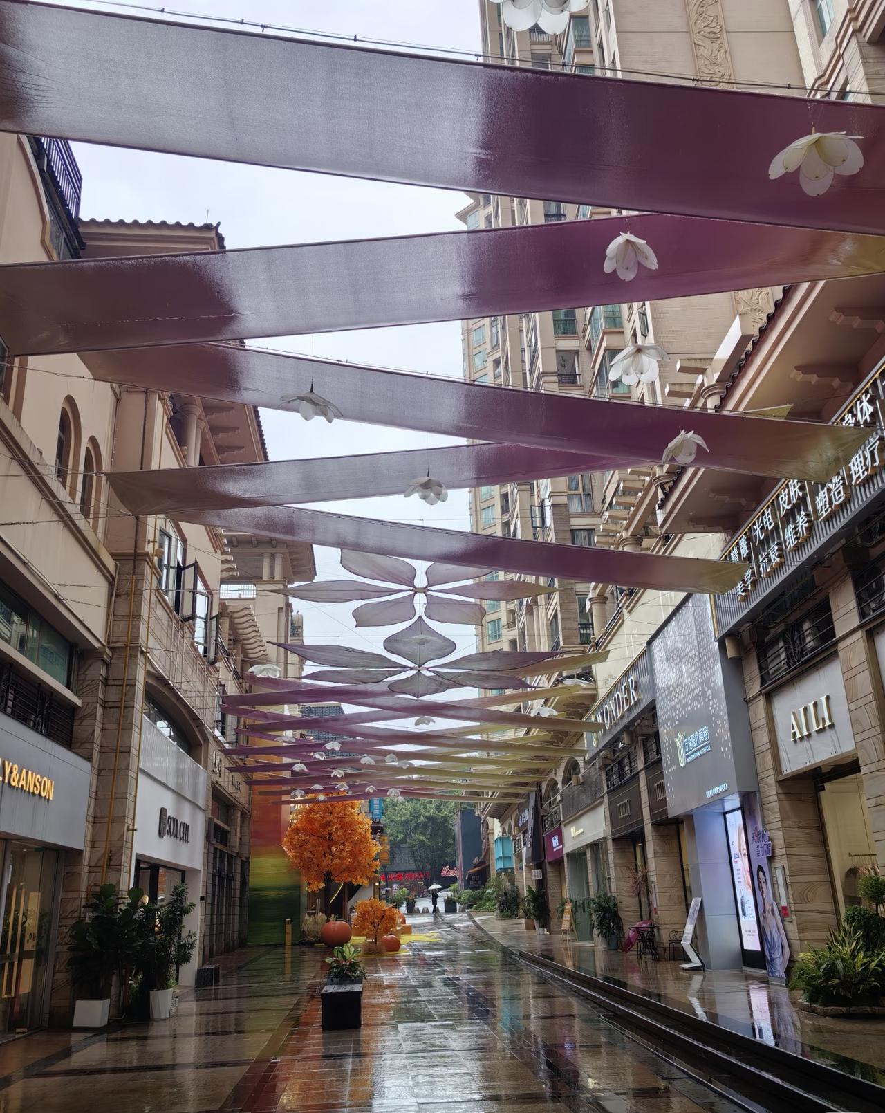 我劝朋友别来广西，别来广西
她不听劝，非要来，非要来
这下好了，人老实了

她已