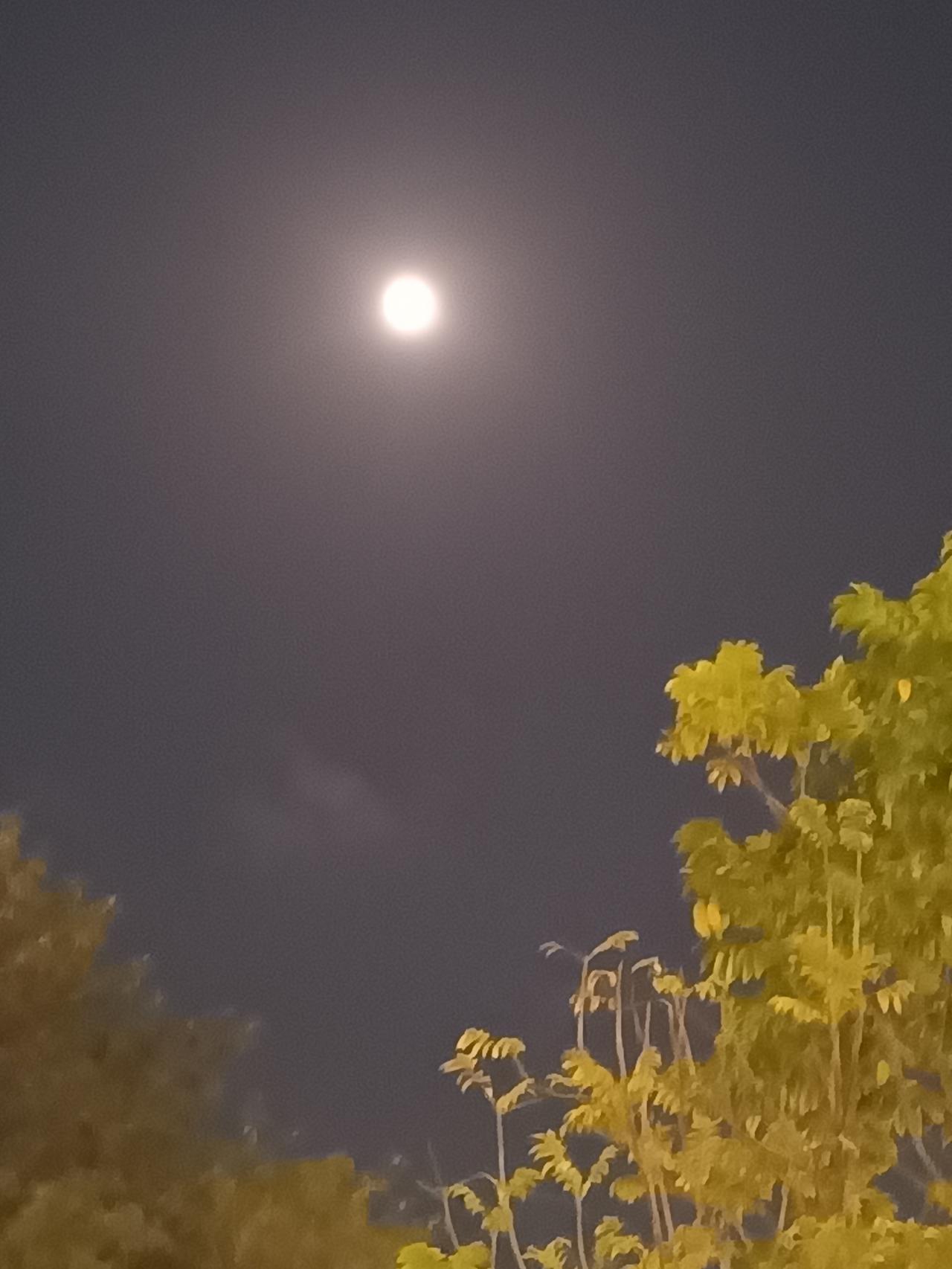 我不羡慕别人中秋有多少福利
只羡慕别人中秋放一天假
听说今年很多人中秋只放一天假