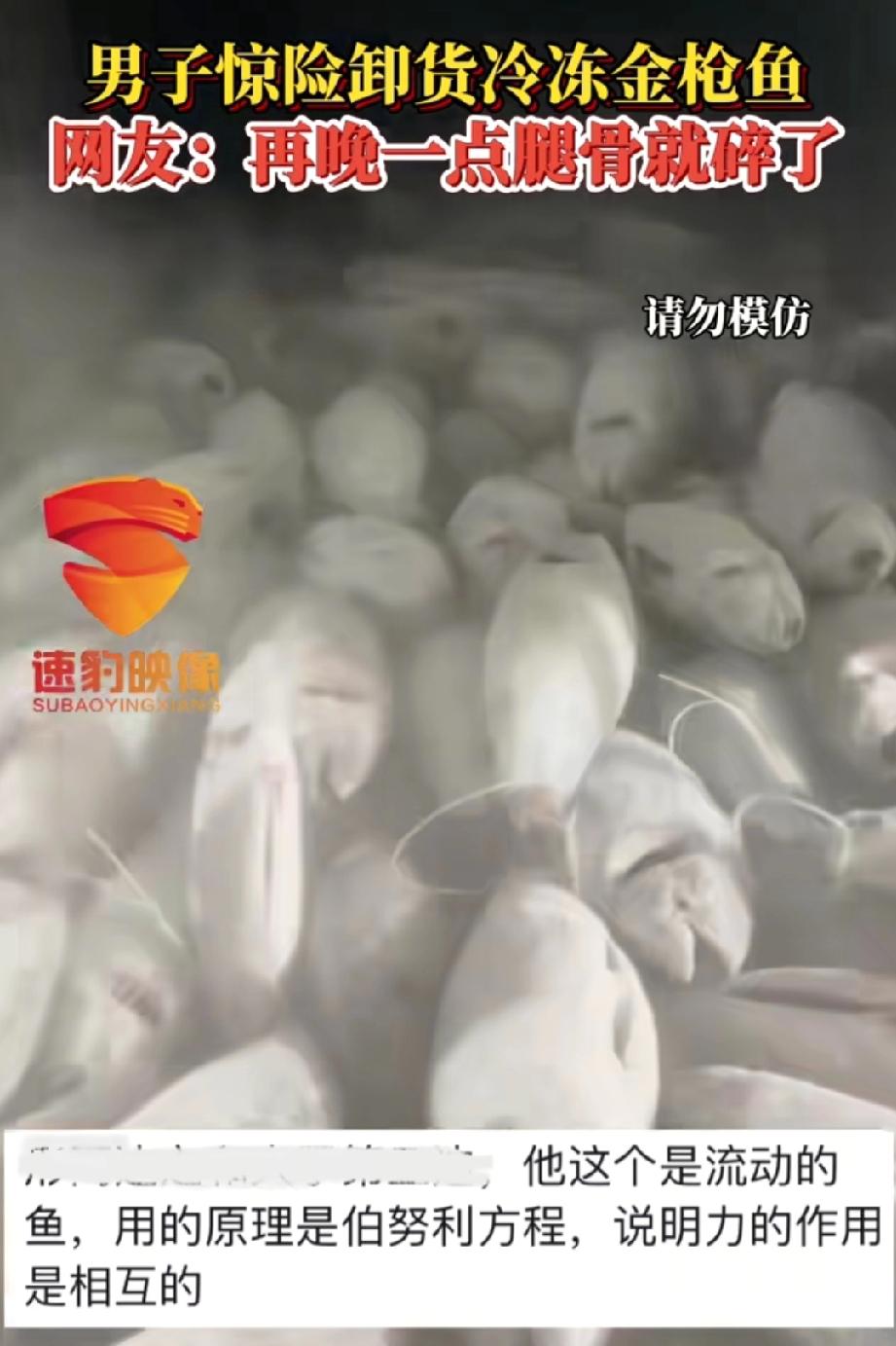 这就是劳动人民的智慧！山东烟台，一位卸鱼工人火了，车上装着27吨冻鱼，要是换个没