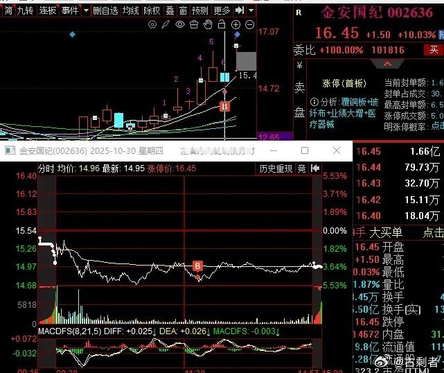 金安国纪（002636）对昨天的预判有了一个好的回报，逆市顶一字涨停！在这主力资