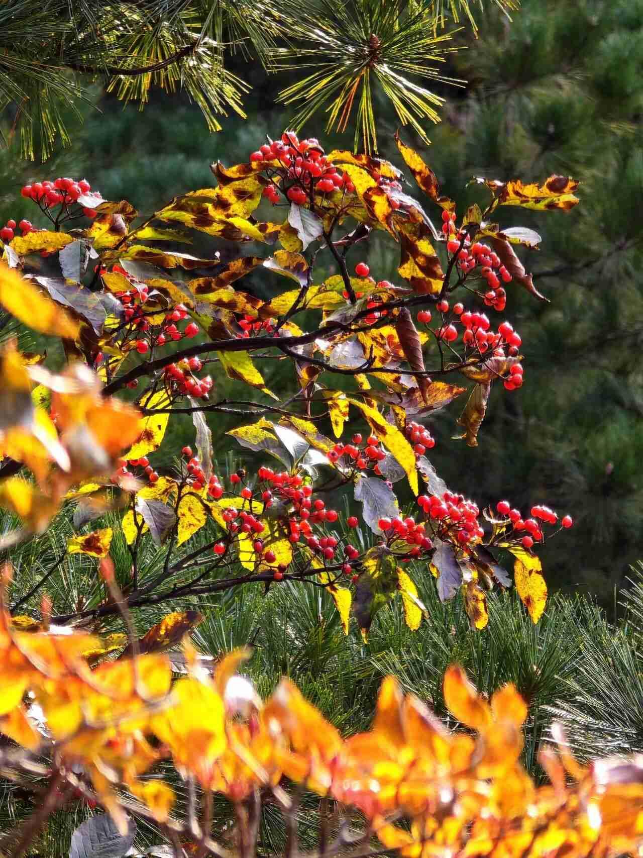 我的今日状态：💰期待暴富
我这里的天气：☁️阴天