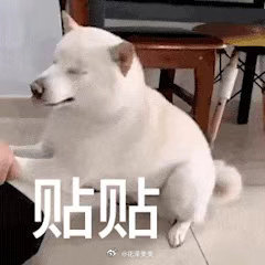 今天刚加的认证，的老粉帮我点赞或者评论一下，感恩🙏🙏🙏 ​​​