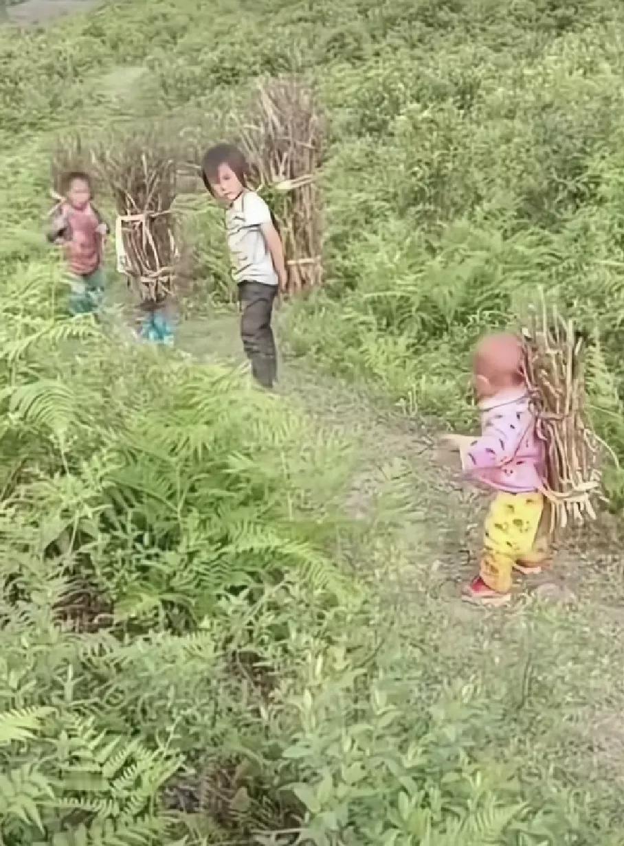 小时候的画面
家里孩子多，
干活的人也多。
四个孩子拾了这么多的树枝。
家里有柴