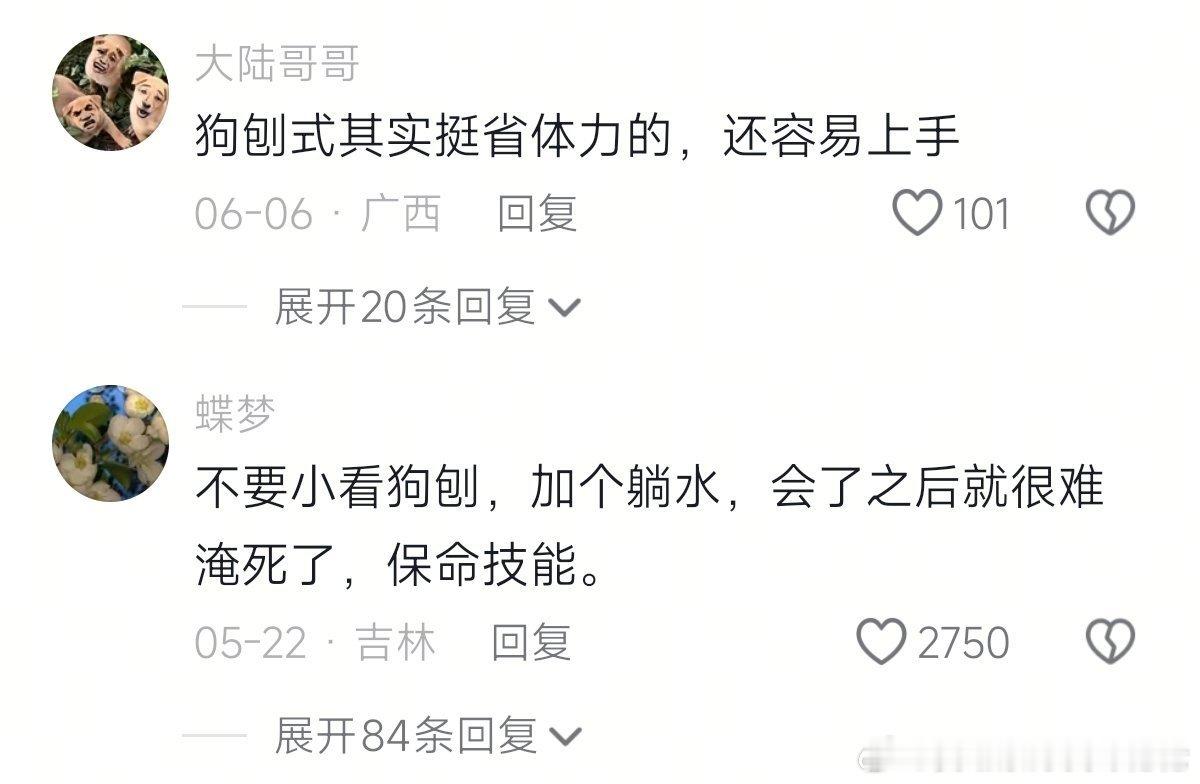 第一次见这么标准的狗刨式游泳 （