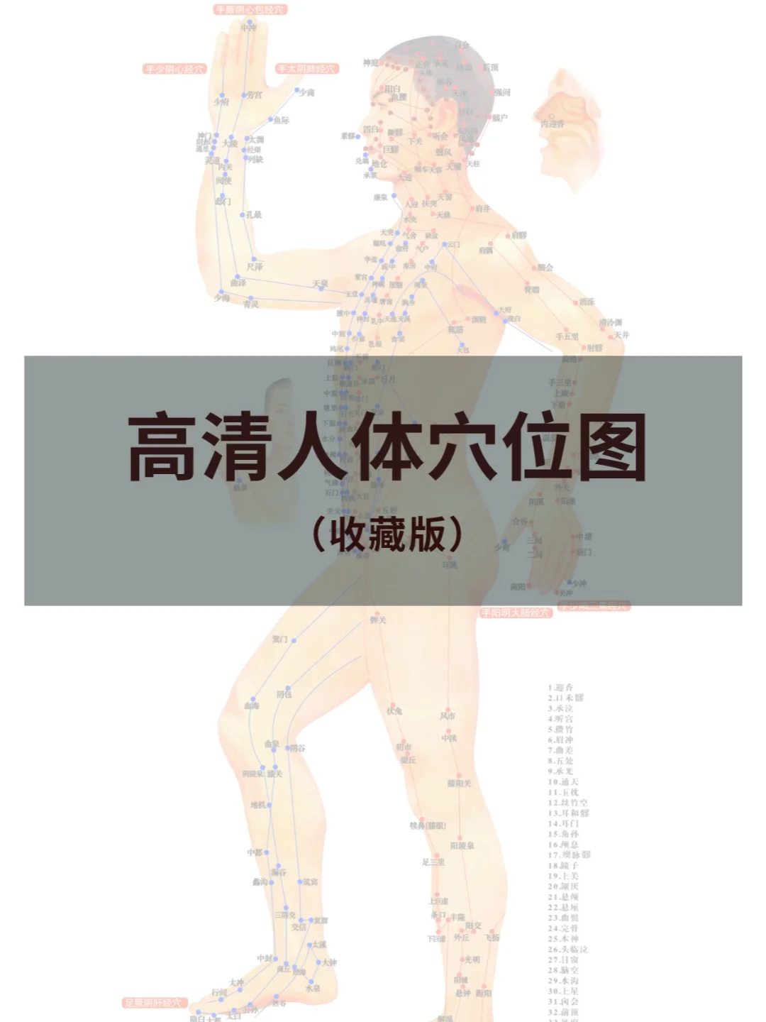 高清人体穴位图收藏版（正面-背面-侧面