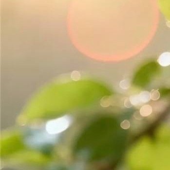 阳光信用  早安☀️美好的一天开始❤️你若拥有一颗宽容善良的心，你就会拥有快乐，