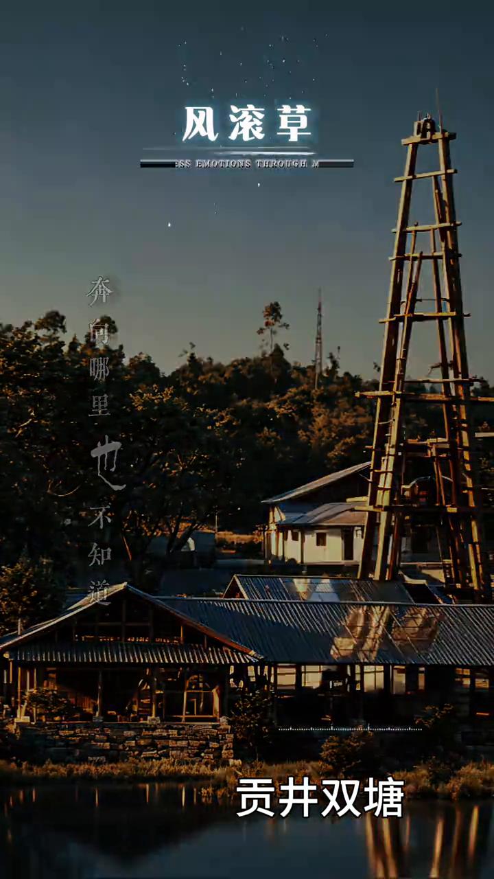 贡井双塘风滚草。
我是一团风谈草，大风推着往前跑，没人问我哪里来，奔同哪里也不知