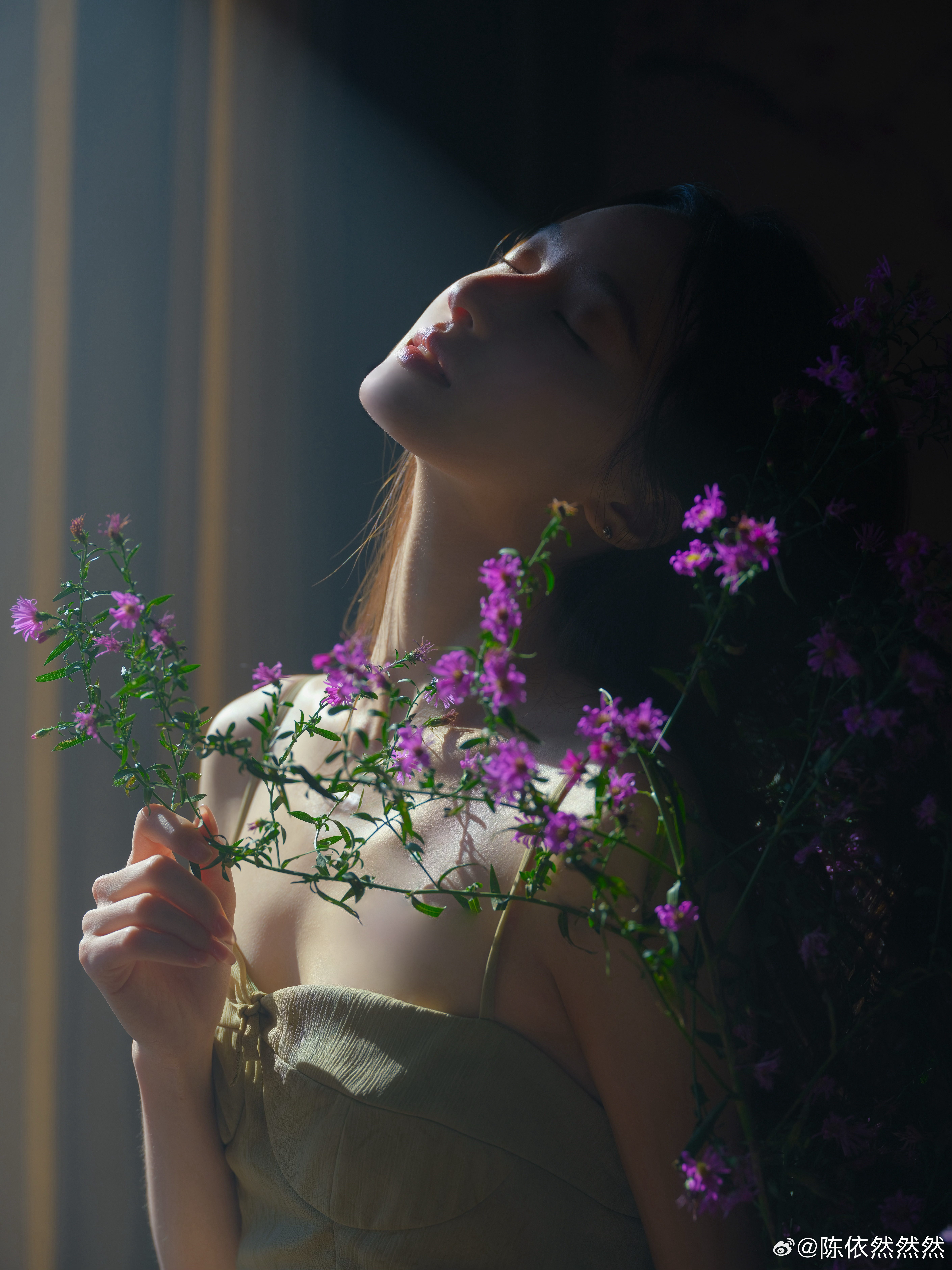 🪻 北京·北京舞蹈学院