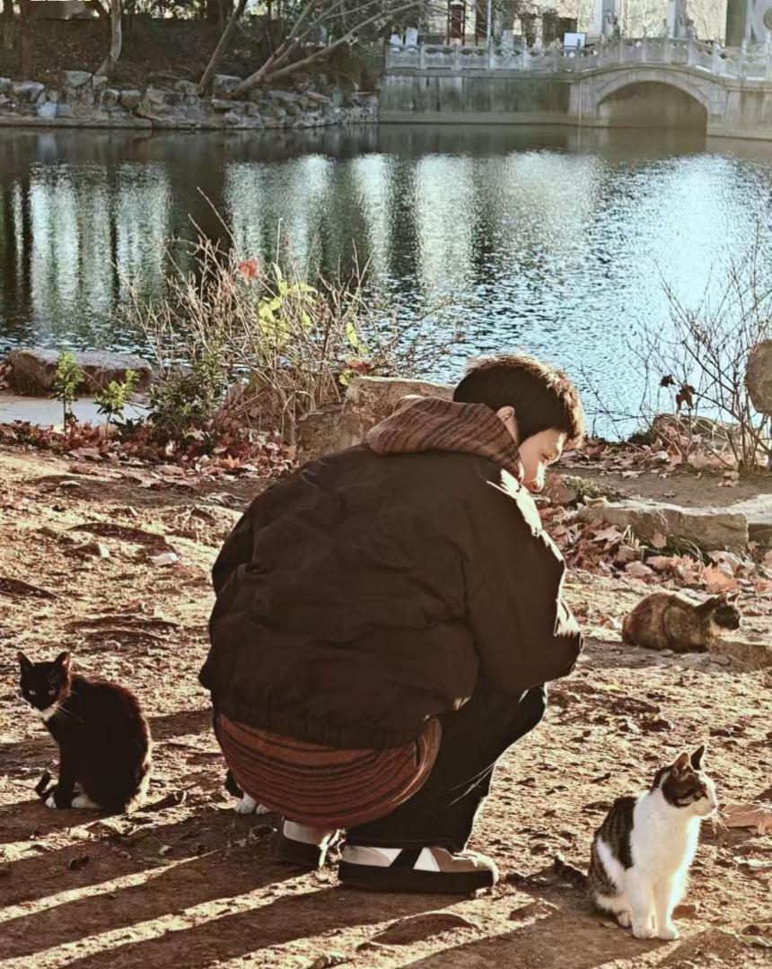 🐈湖畔的暖光里，人与猫共享片刻寂静，影子被日光拉得悠长，像尘世里一场温柔的共栖