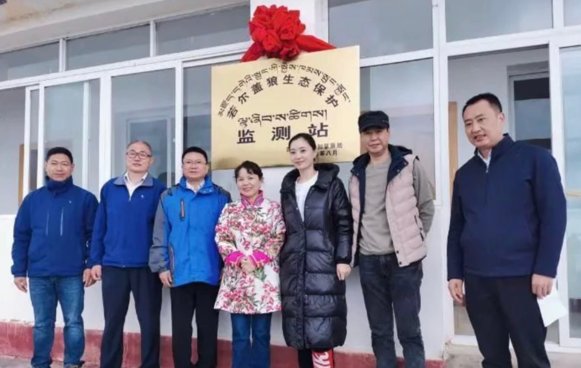 狼王格林现状 格林和李微漪的《重返狼群》真的看一次刀一次，但每次都要看，集合了所