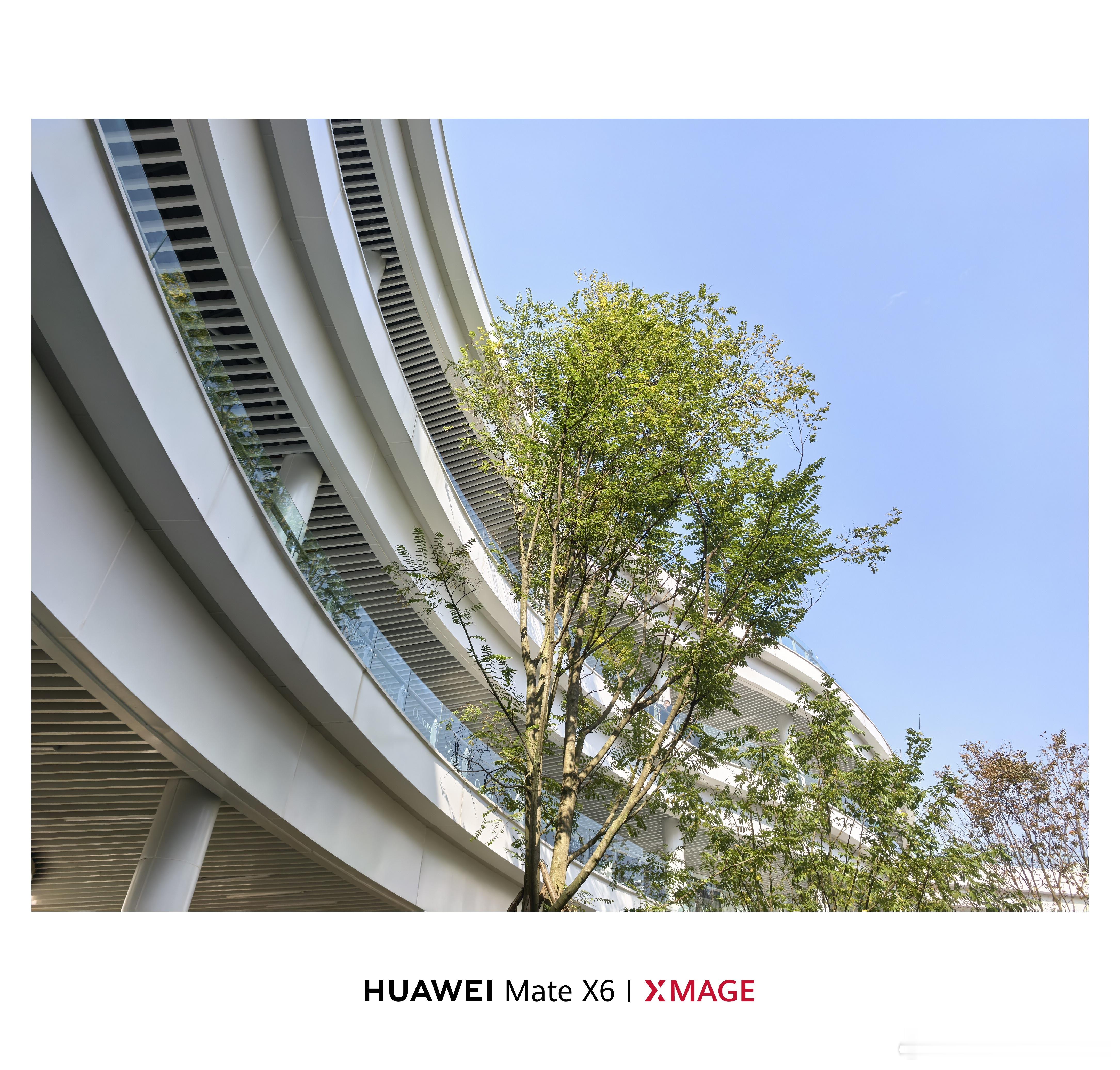 这两天忙到意识模糊，连轴转，明早又是六点起床赶飞机。等这波忙完了，整个团队都得狠