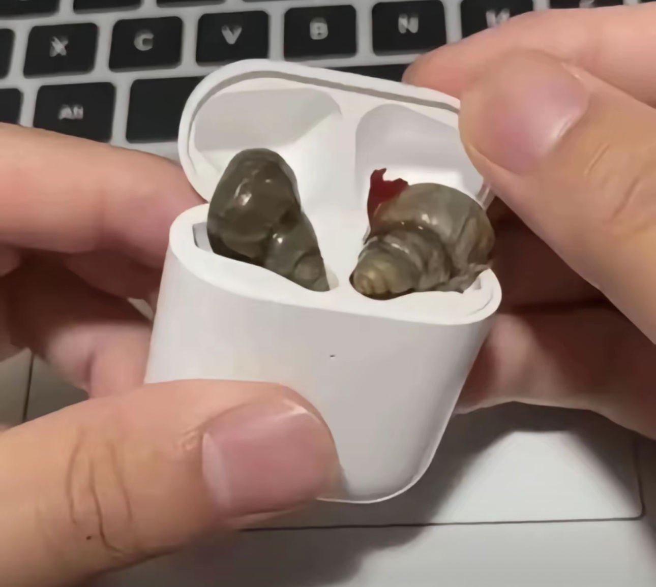 我把她嗦过的田螺当成耳机，恍惚还能听见她在我耳边说爱我[泪] ​​​