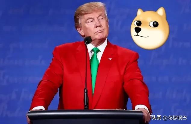 美国这次停摆真闹大了，已经38天了，政府一大堆员工都放假，基本没什么工作。你要办