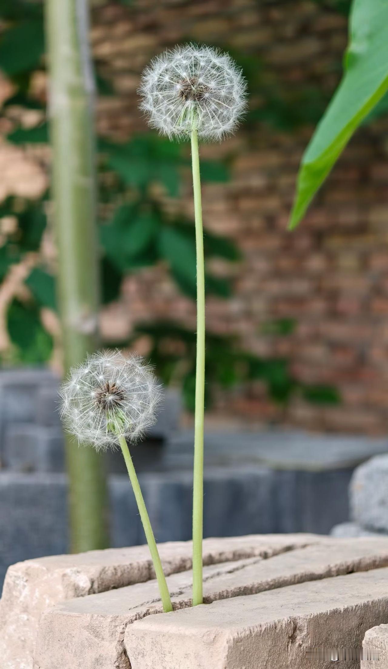 一个人的苦难，只有对他自己才是实实在在的苦难，而对别人，只不过是一个故事。