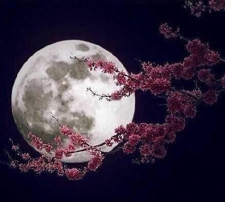 二十多年前，堂叔是一名参战的转业干部，癌症去世的。
当年是我在医院陪他做的手术。