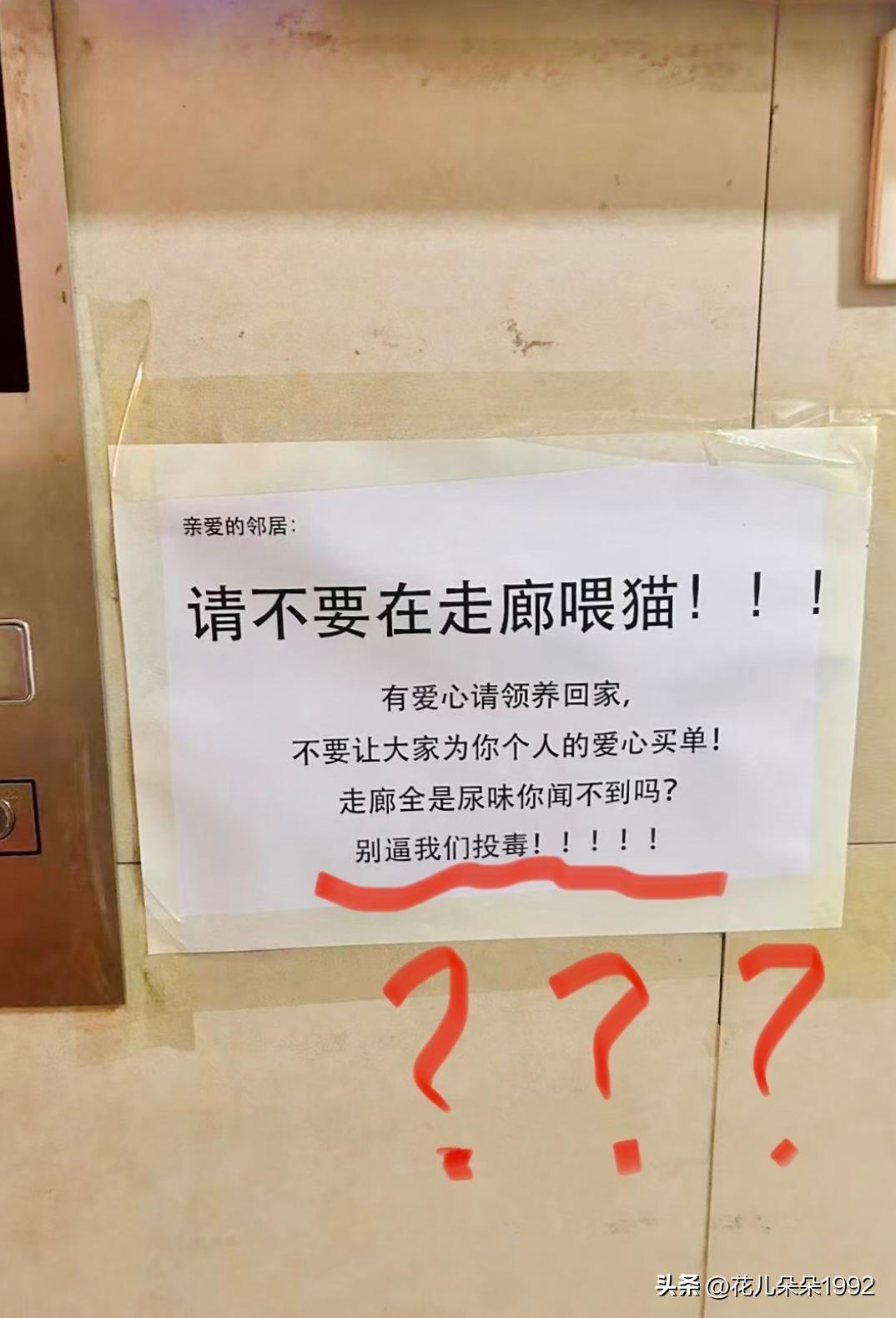 这位邻居是哪位的部下？如此勇猛！
也没必要投du吧😱好吓人

小区里有流浪小猫