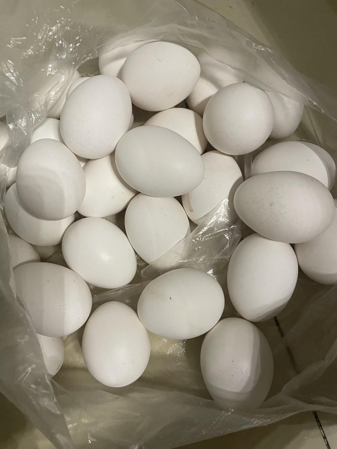 30个鸡蛋12.9元，说是正宗的乌鸡散养蛋，鸡蛋不大但看起来很新鲜，包装完美，一