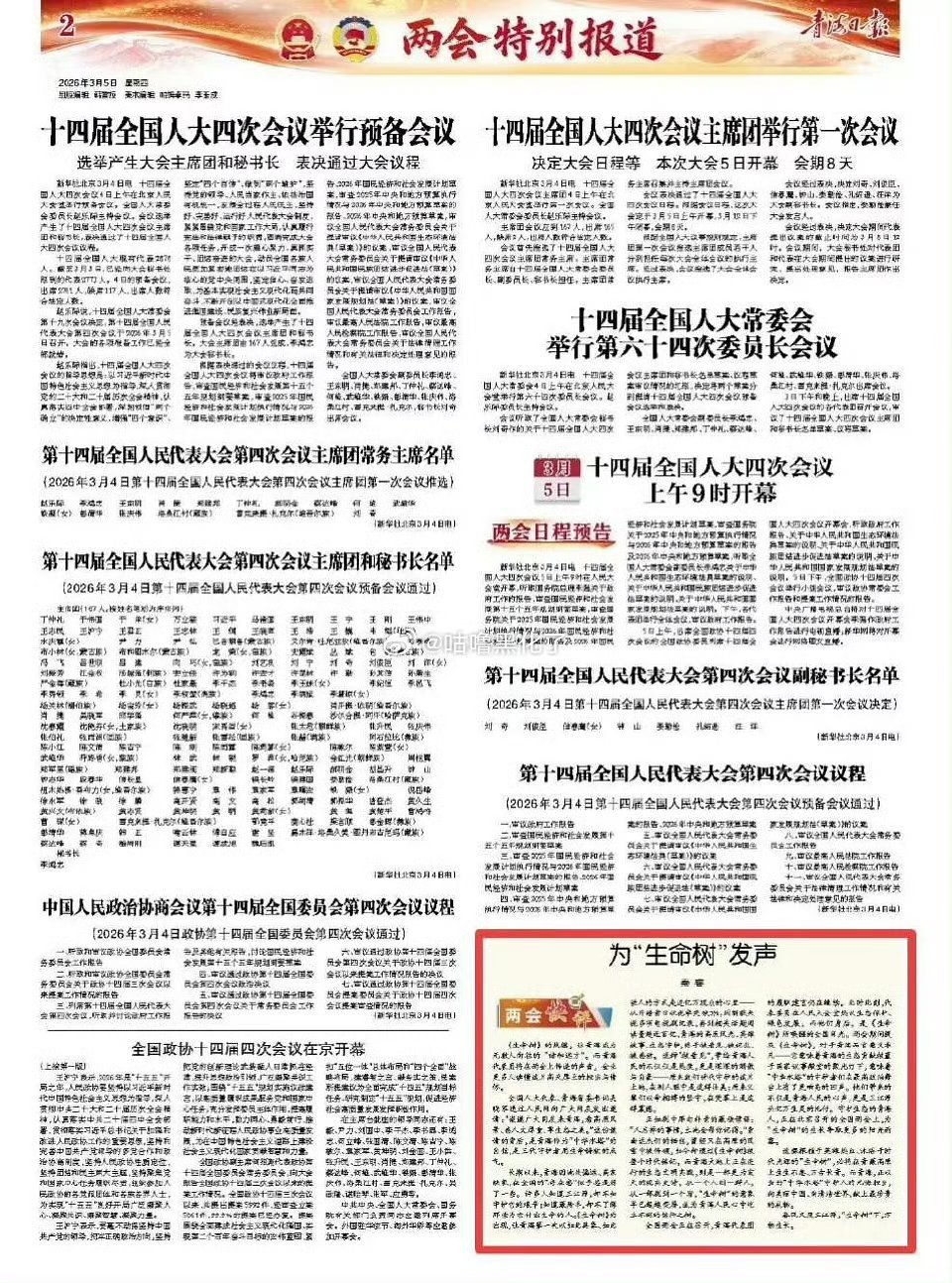 两会特别报导杨紫的《生命树》