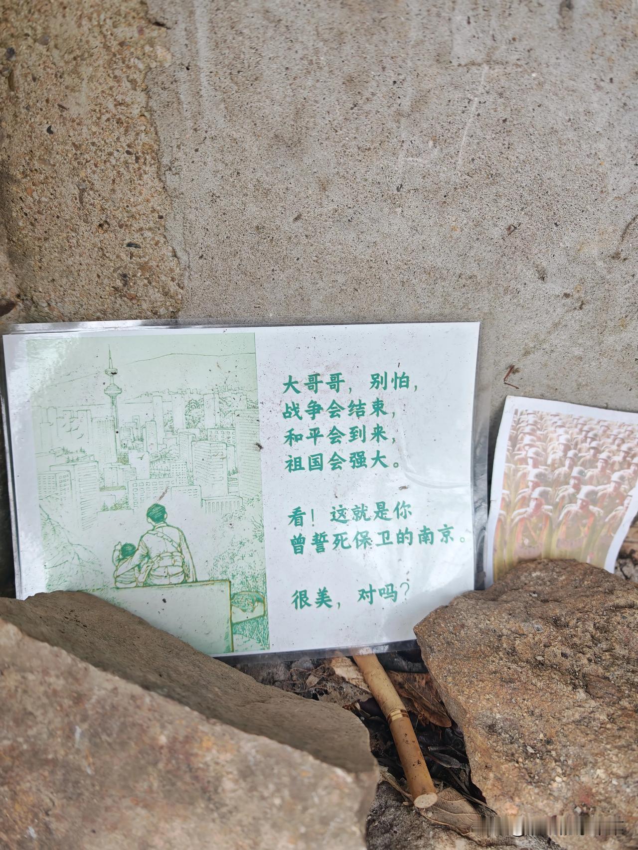 今天再度去了紫金山，走了许久未曾踏足的野道。风穿过光秃秃的枝桠，带着几分料峭的春