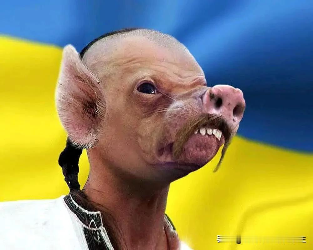 🇮🇪⚔🇺🇦 爱尔兰记者博斯在社交网络上说:"由于泽连斯基的过错,乌克兰处