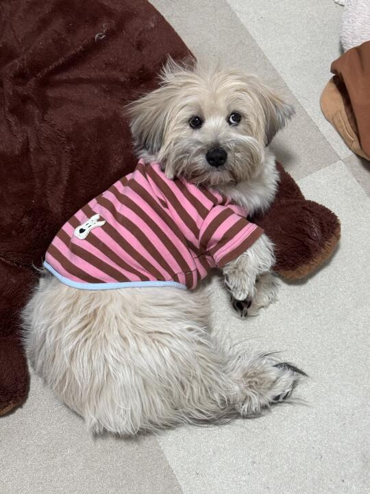 觉得她有事瞒着我 但又没证据