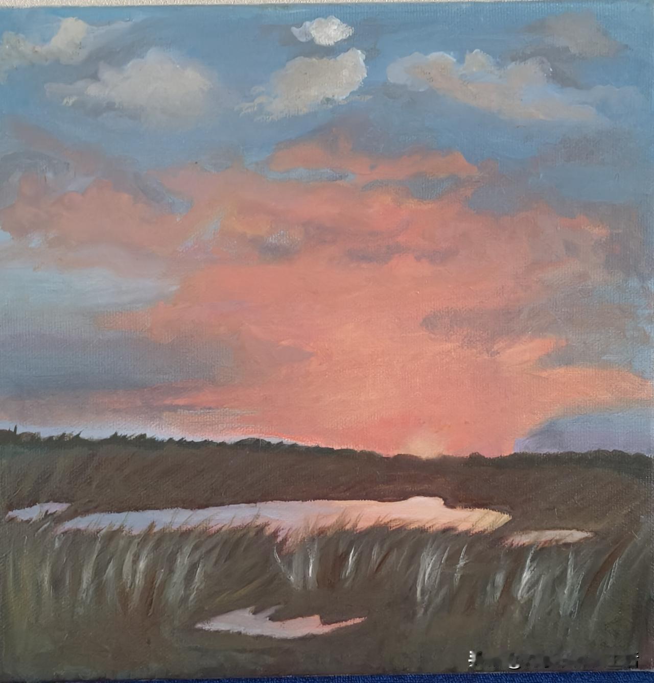 年过七拾拾画笔，不负时光不负心
 年前，老师布置了绘画作业，我当时先认真完成了一