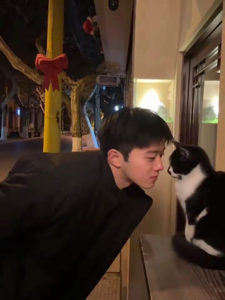 说 说 说 说 说你爱我~理想型