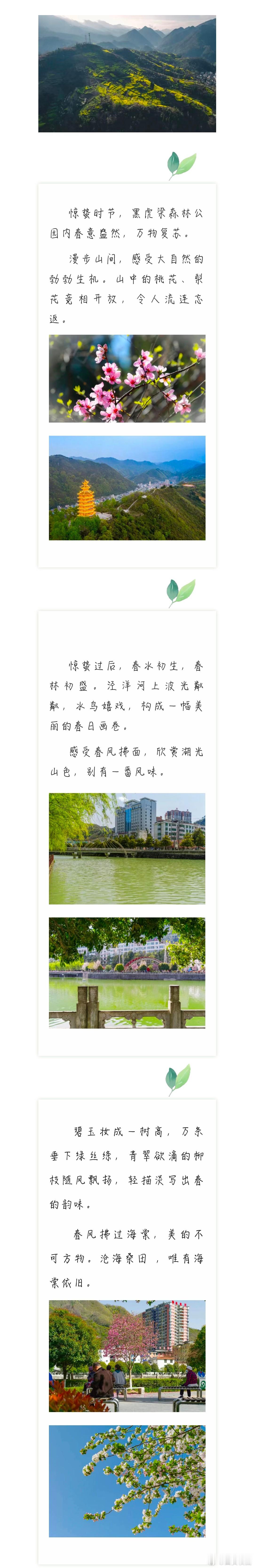 来汉中镇巴赴一场春日美食局 家人们谁懂啊！镇巴的春日，简直是神仙级别的存在！美食