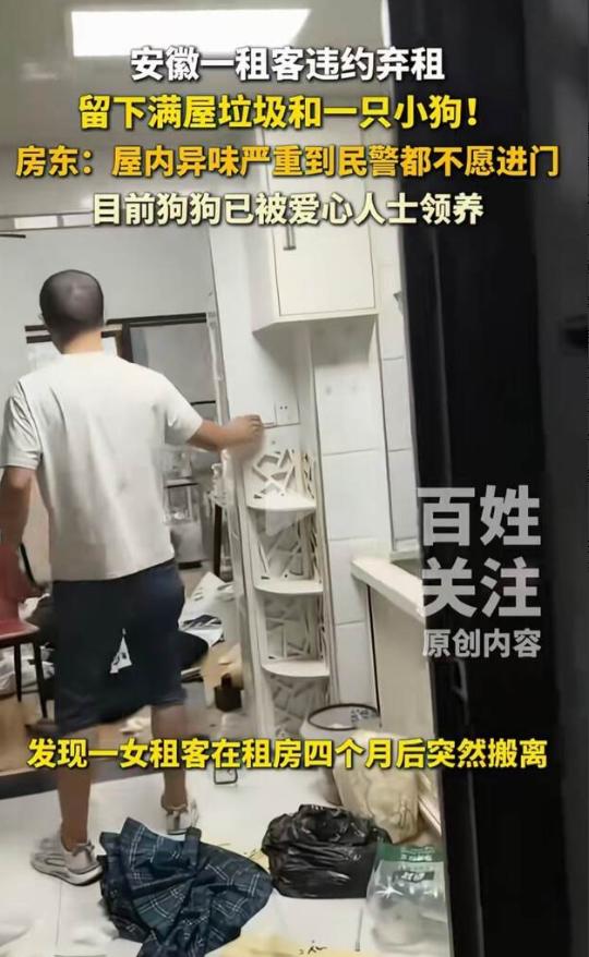 安徽芜湖，女子租房四个月后忽然搬离，房东开门后，发现她什么都没有带走，包括一条萨