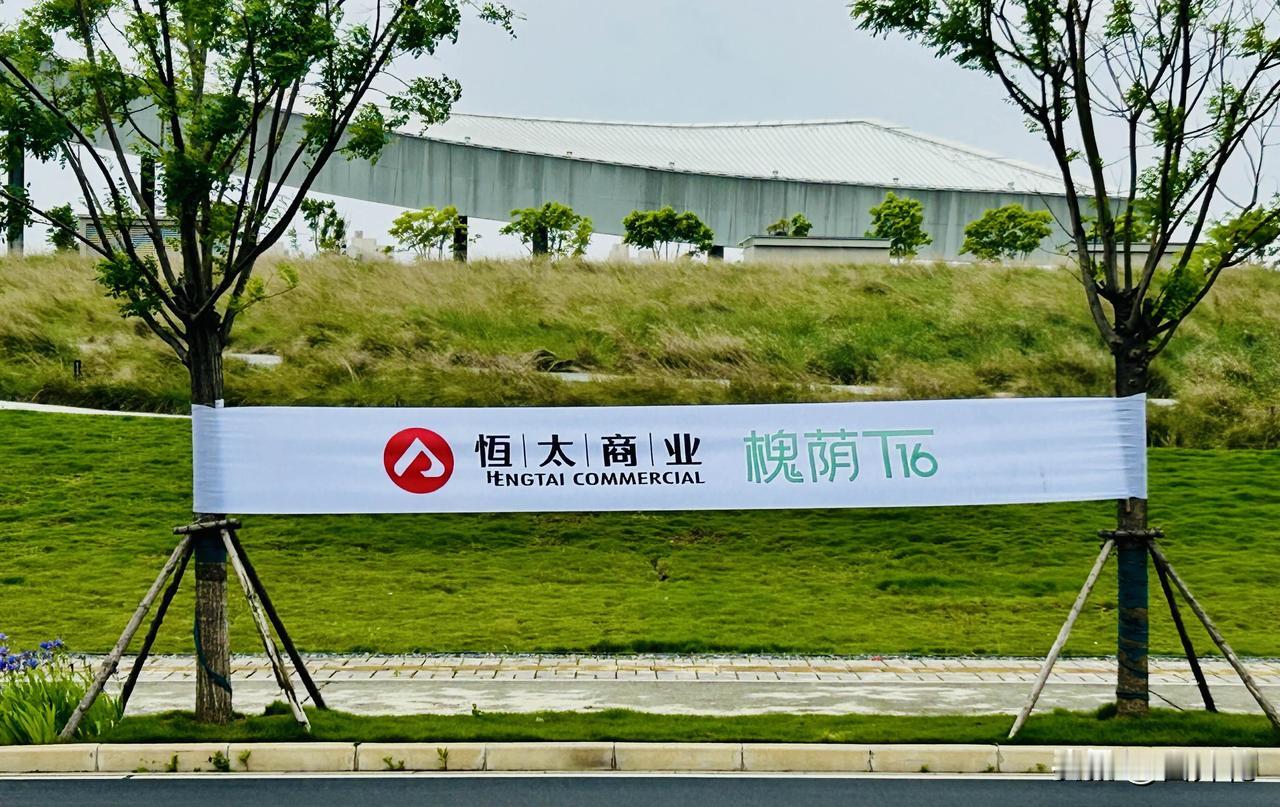 着实尴尬！是“恒太商业”，并非“恒大商业”！前几日，我前往东城奥体中心游玩，不经
