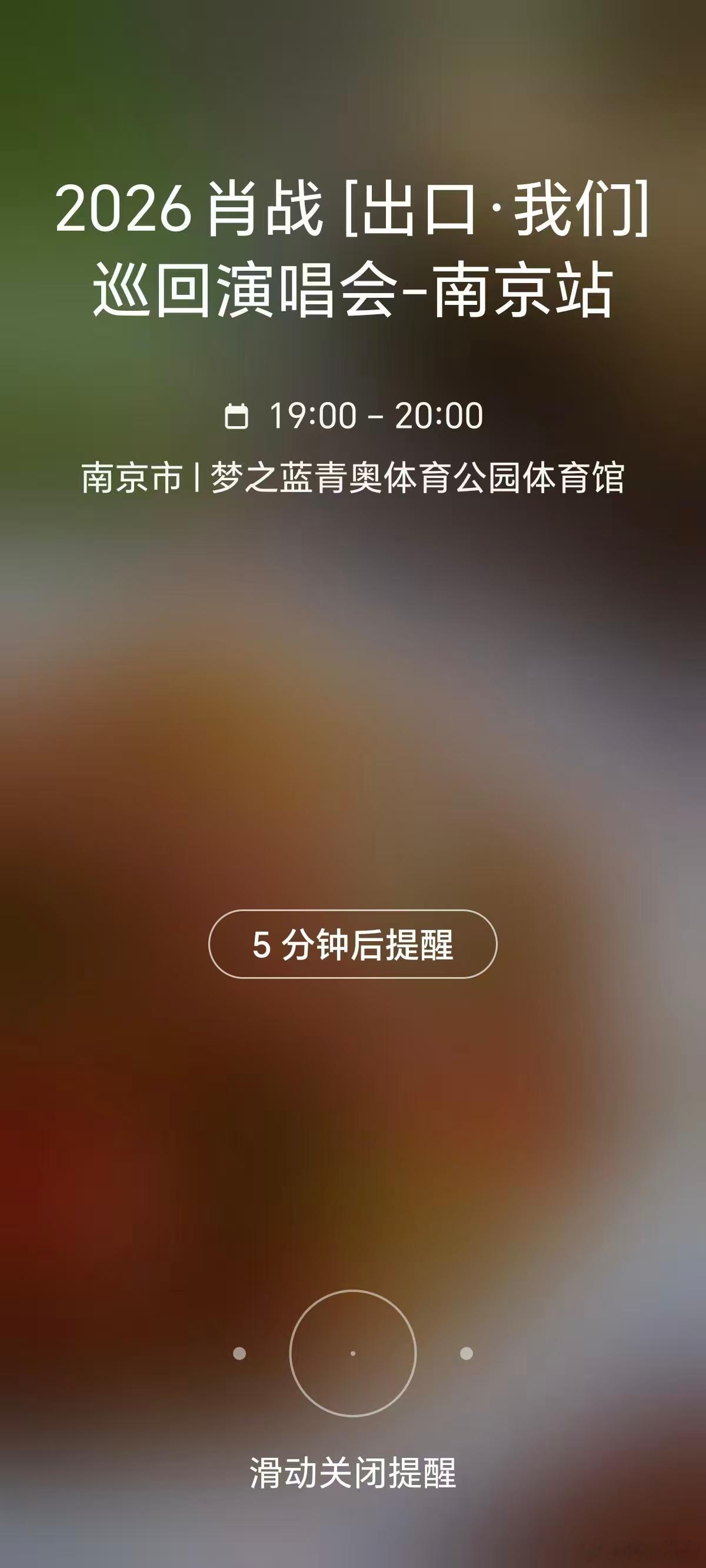 好记性不如找YOYO、YOYO记日程、MagicOS11抢演唱会门票时激动得手抖
