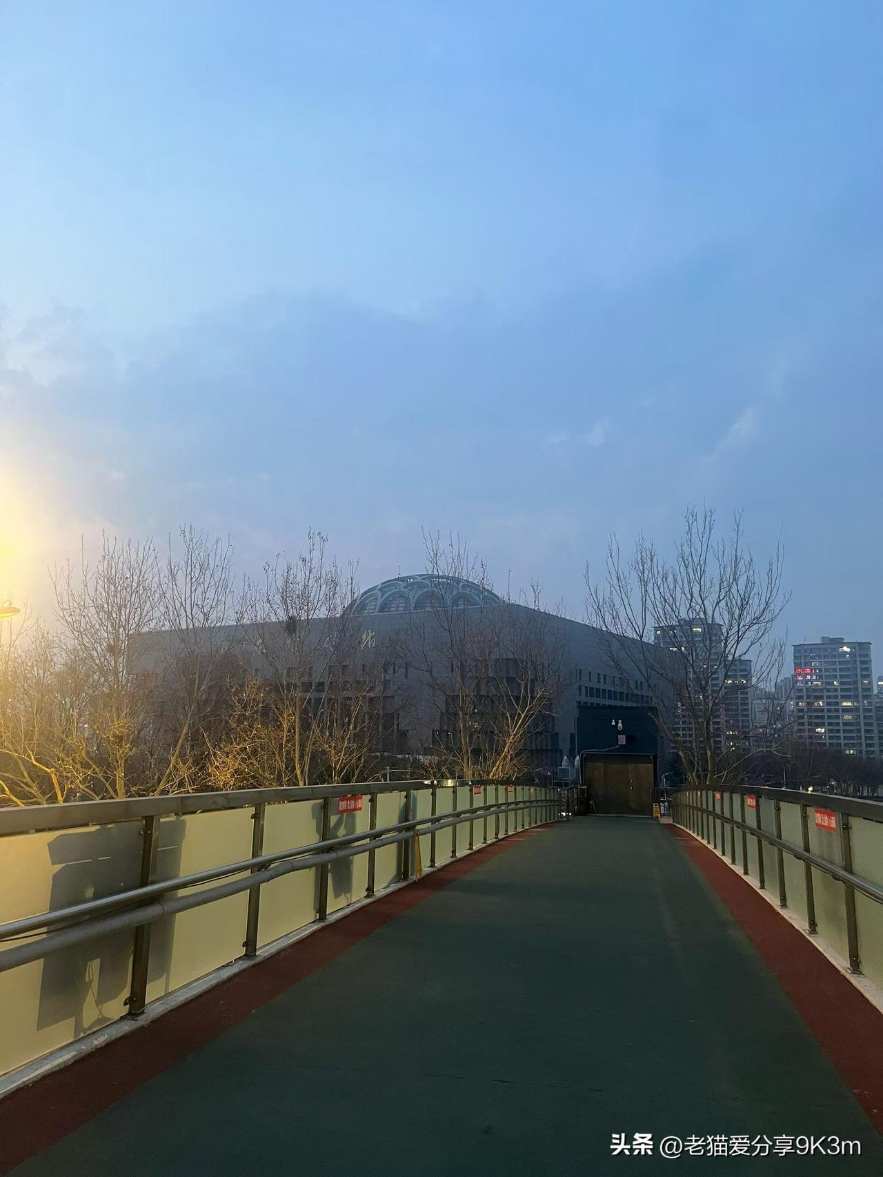 春天又回来了，花儿陆续开放，风吹在脸上不凉了……