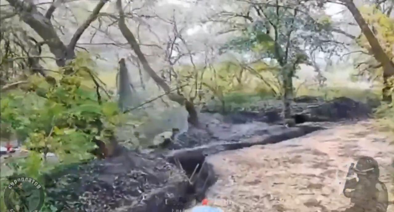 俄罗斯 FPV 无人机依次突破乌克兰在森林地区的伪装网，3架无人机开路袭击了安全