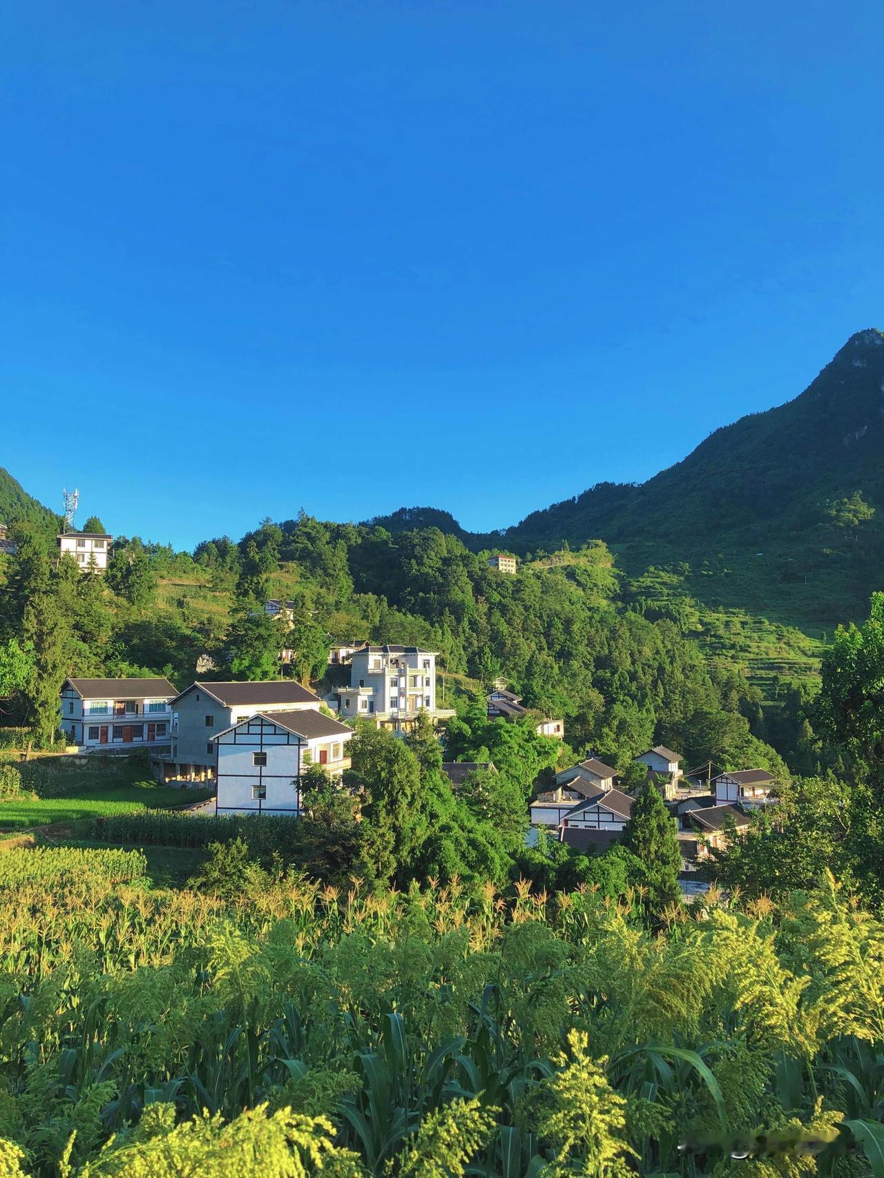 今天哥哥送我去车站，早早地我妈已经给我打包了各种吃的，叮嘱我各种事情，感觉我还是