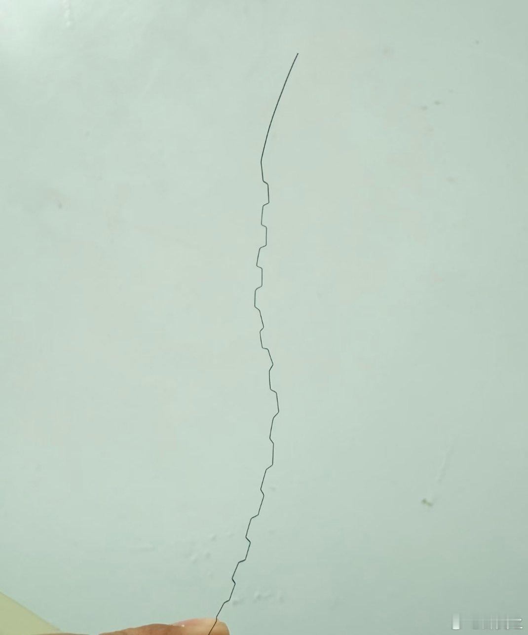 我头上有一根全是方波的头发😱 