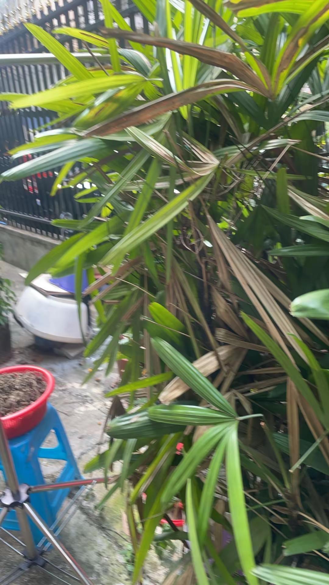 万物复苏