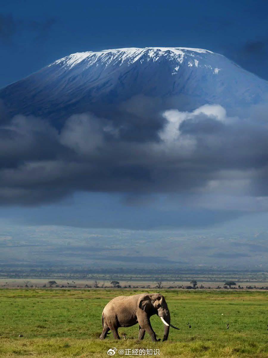 坦桑尼亚乞力马扎罗山非洲最高峰 