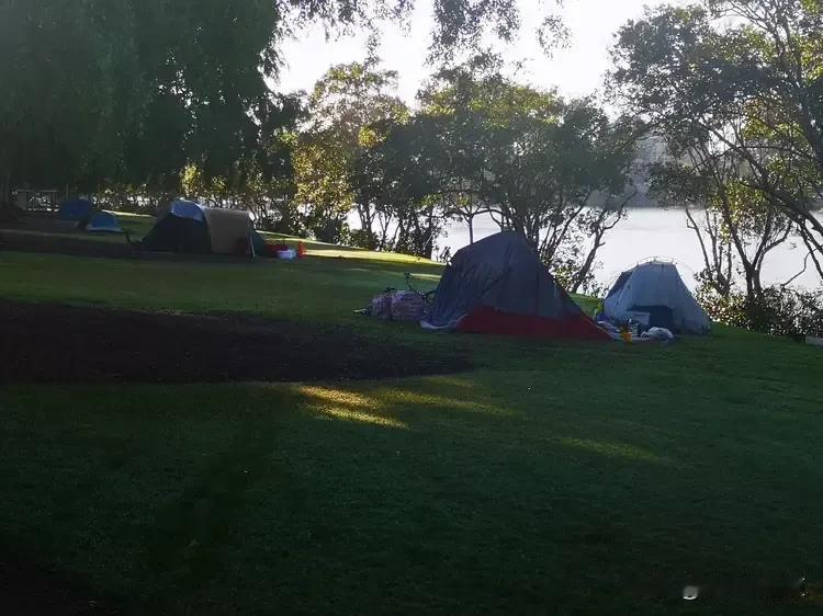 澳洲短期居家生活纪实（28）丨公园里的流浪者之家

在美丽的布里斯班河边公园，搭
