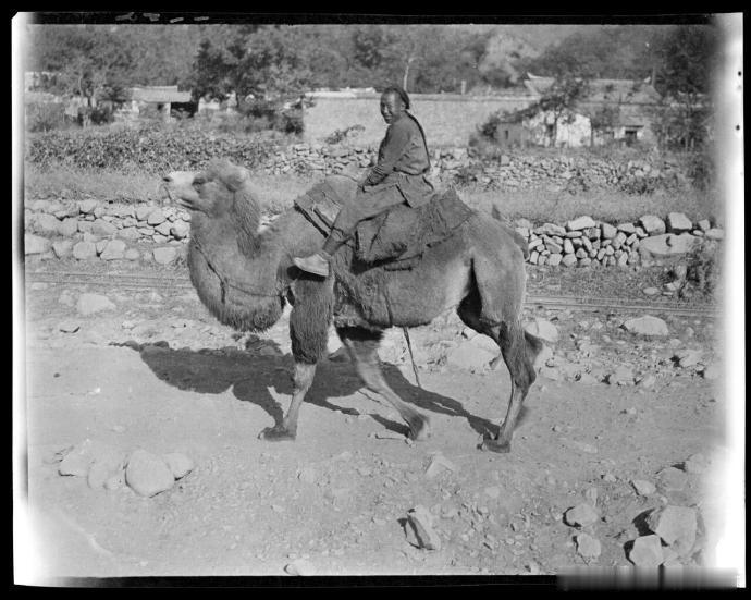 1908-1932年的中国 