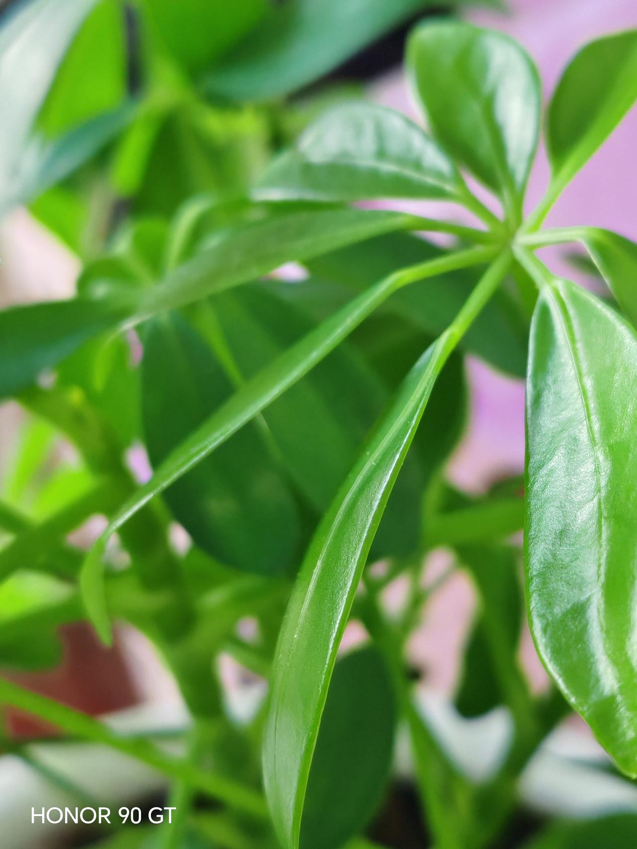 春日生活打卡季