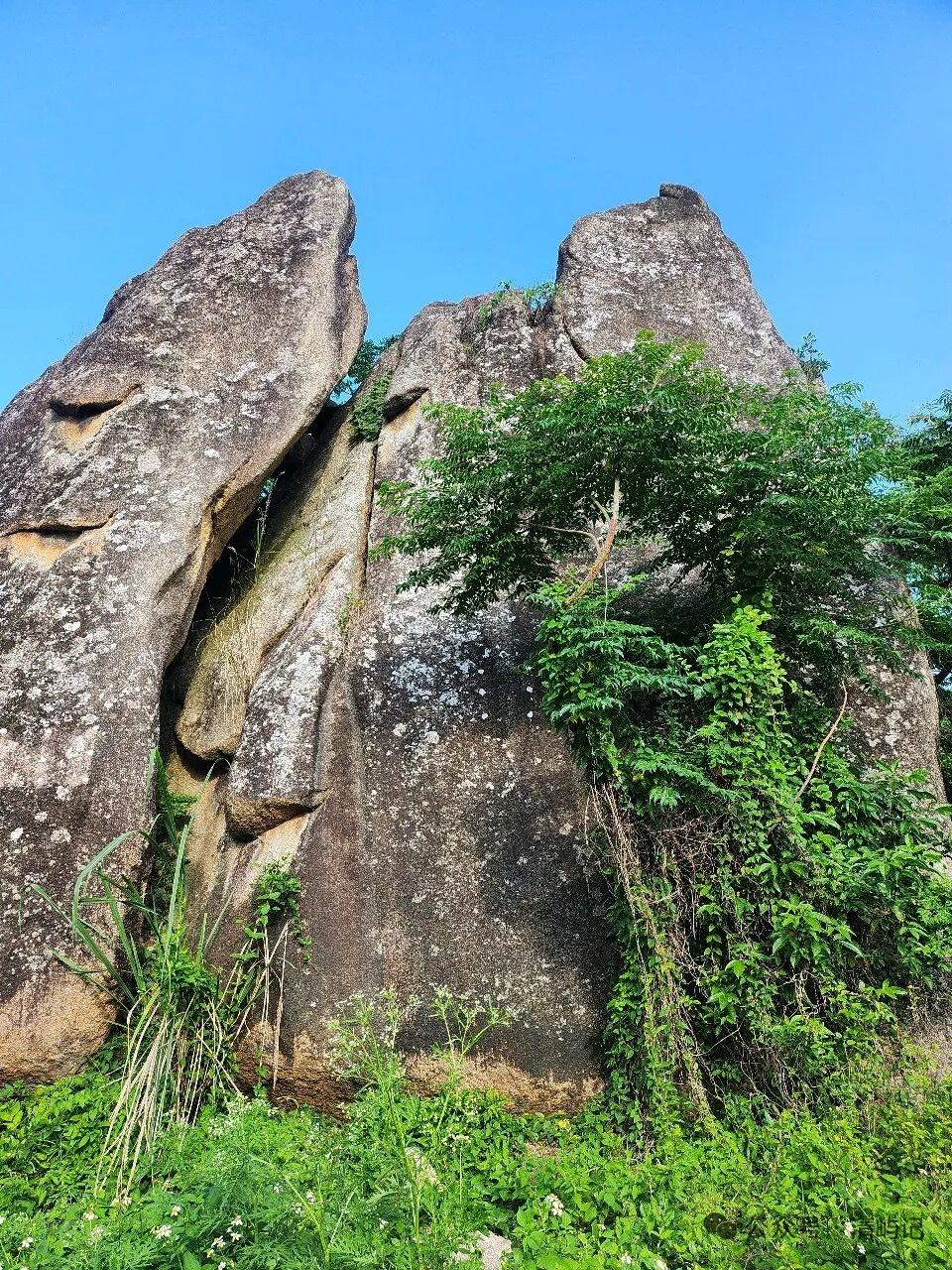 随拍青秀山