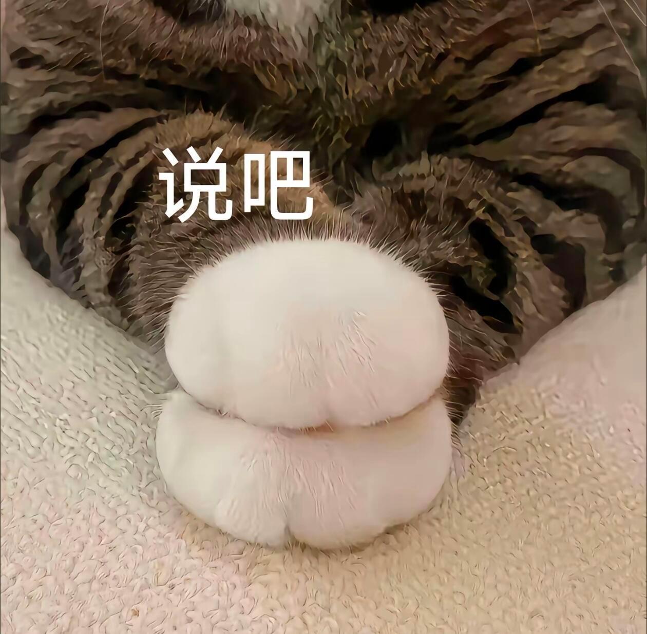 张庭直播7小时仅卖267万  这词条居然用了一个“仅”字！要知道260多万是多少