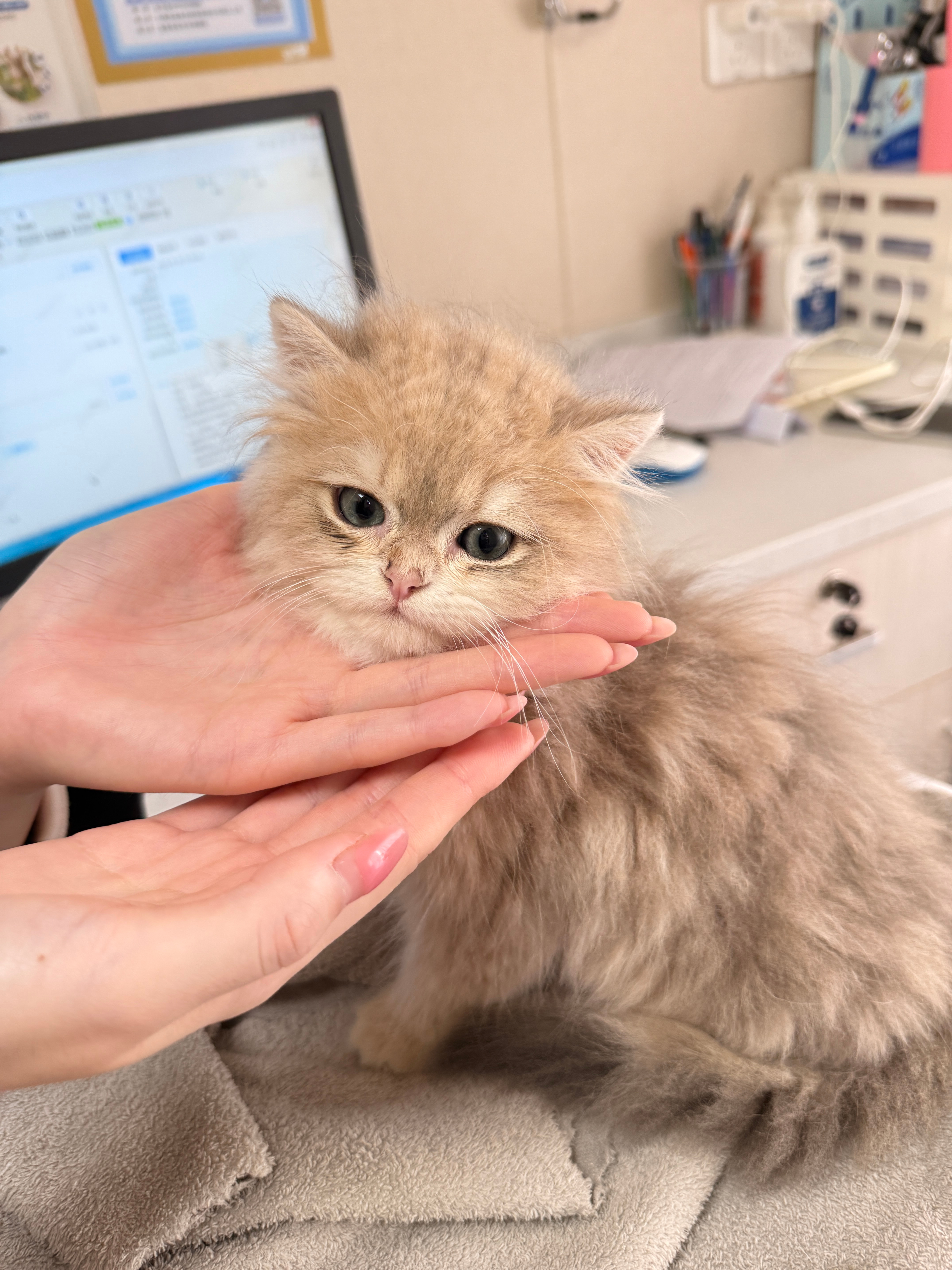 宝宝你超勇敢的😺 