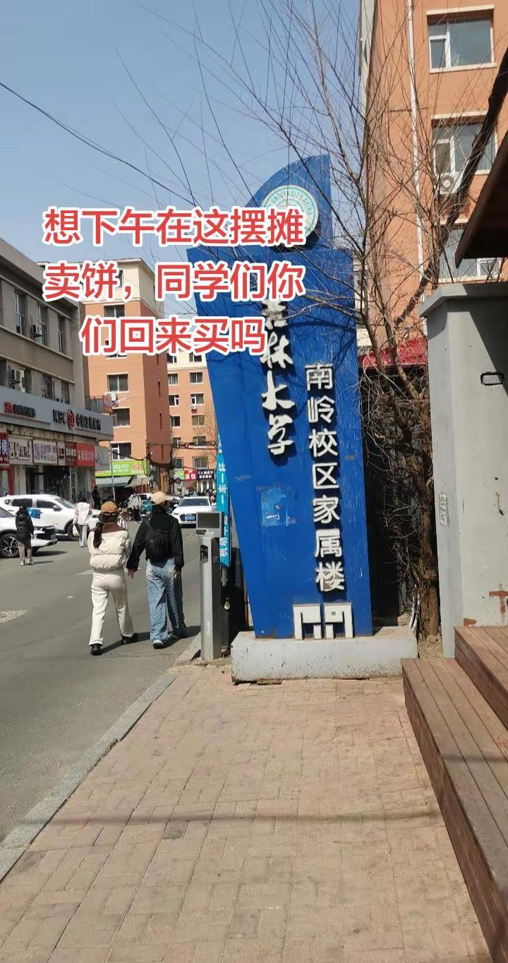 香葱大饼 吉林大学南岭校区