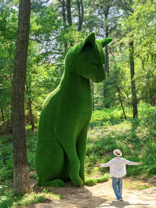 真没出国❗是江苏常州 童话般的魔法森林🌲