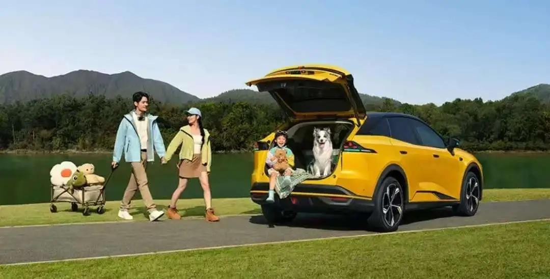 现在买车的人越来越理性！
1：39%的家庭一买10万以下的车
2：43%的家庭一