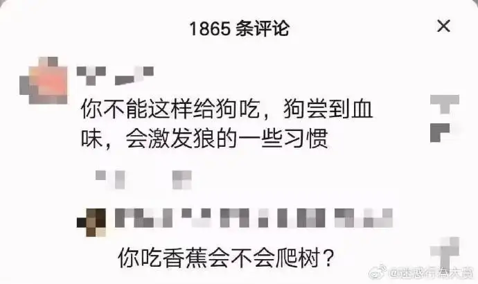 <img src=